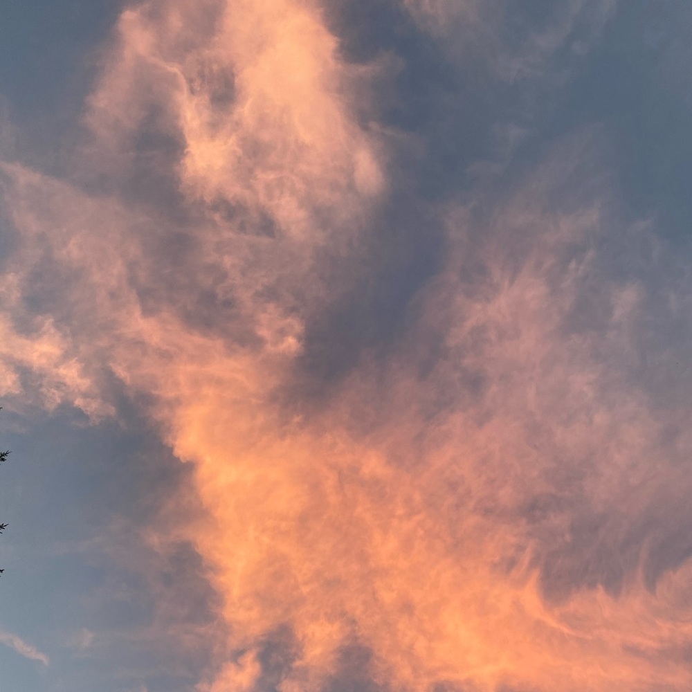 Meet your Posher, Ana